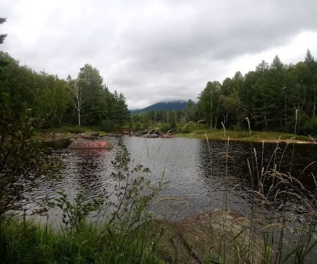 Trout Brook Campsites