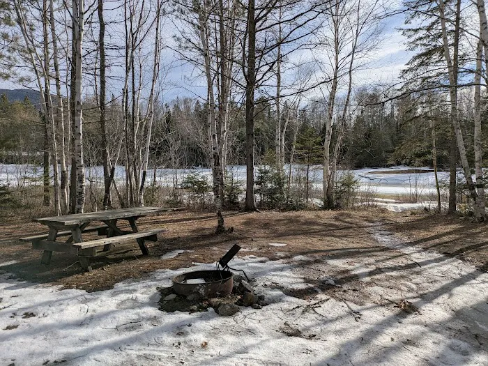 Trout Brook Campsites Picture 8