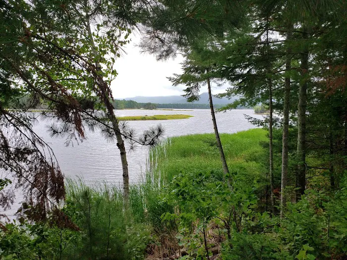 Cathedral Pines Camp Ground Picture 2