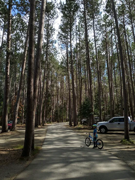 Cathedral Pines Camp Ground Picture 9