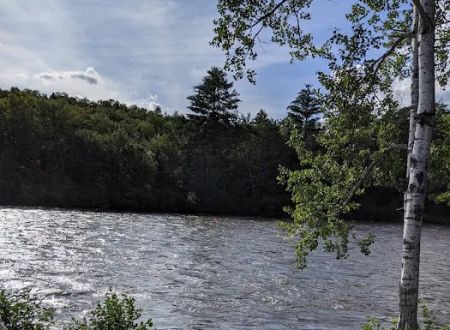 Riverdriver's Campground & Lodging
