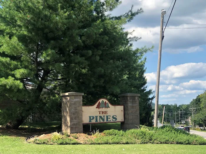 The Pines Picture 8