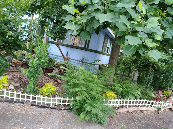 Indian Oaks Pointe Mobile Home Park Picture 6