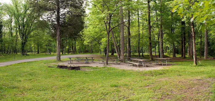 Jens Camp Picture 3