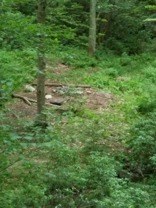 Jens Camp Picture 6