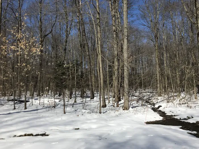 Beaumont Scout Reservation, Lake Erie Council BSA Picture 9