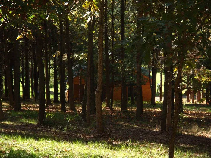Clewell's Landing Camp at Pinecrest Picture 8