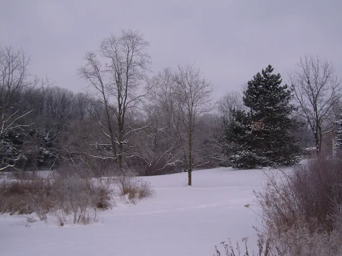 Clewell's Landing Camp LLC Picture 1