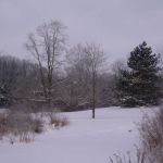 Clewell's Landing Camp LLC