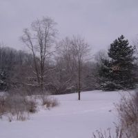 Clewell's Landing Camp LLC ico