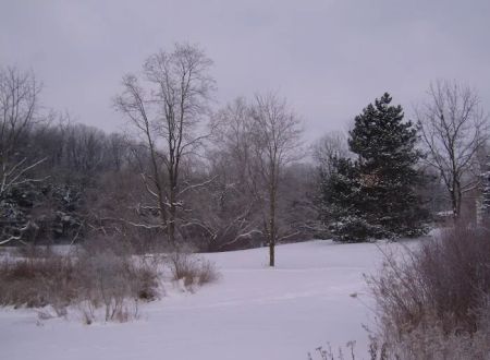 Clewell's Landing Camp LLC