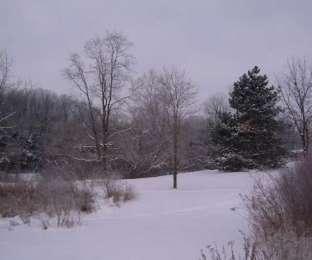 Clewell's Landing Camp LLC