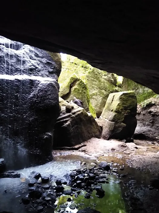 Nelson Ledges Quarry Park Picture 4
