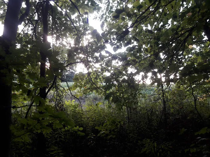 Traveler's Woods Picture 2