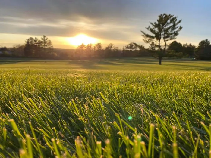 Highland Acres RV Resort Picture 6