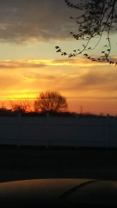Saginaw Bay Estates Picture 5