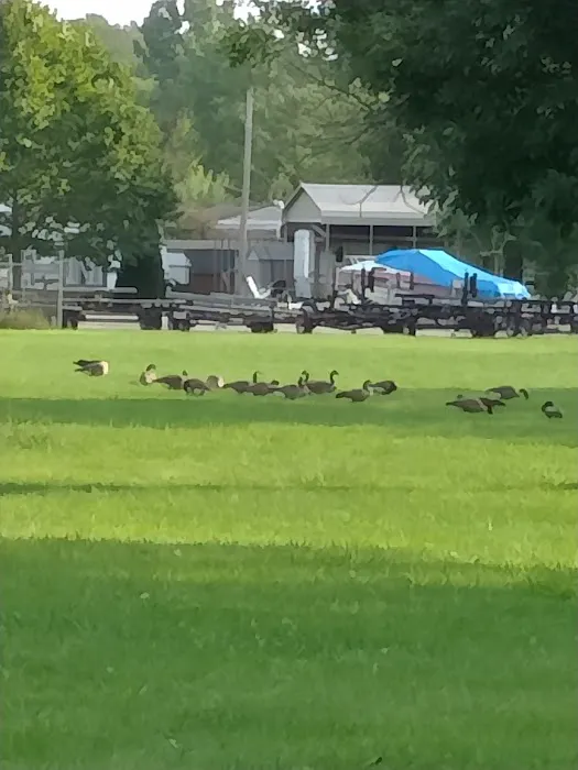 Lakeside Campground Picture 10