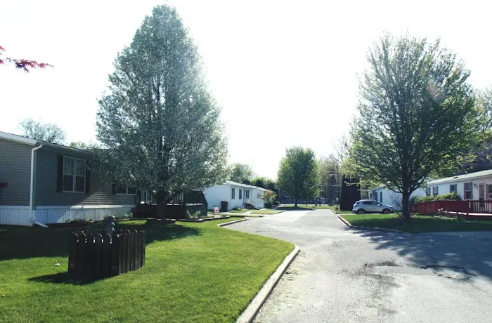 Willow Tree Village Picture 2