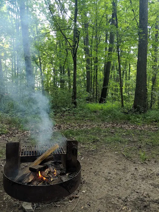 Mill Creek Campground Picture 6