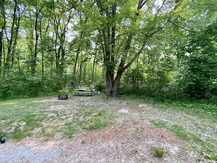 Mill Creek Campground Picture 9