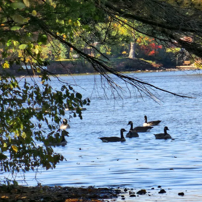 Westville Lake Picture 7