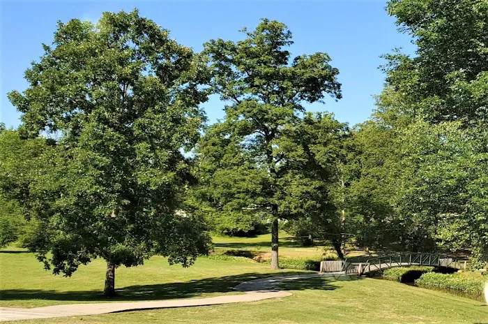 Alpine Village Mobile home Park Picture 3