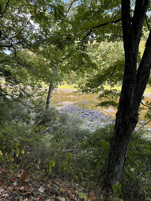 Marlinton Creek and Trail Campground Picture 9