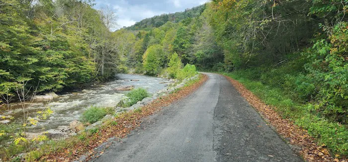 Williams River Road Forest Service Campsite Picture 9