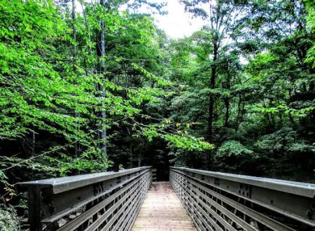 Tea Creek Campground