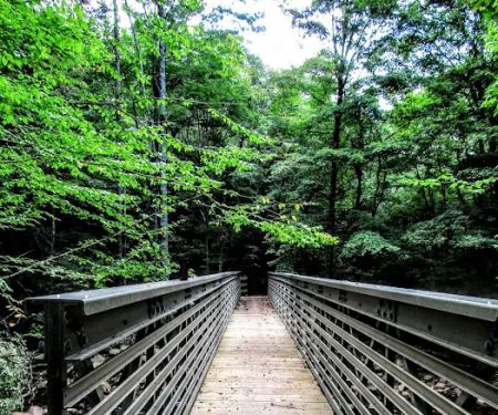 Tea Creek Campground