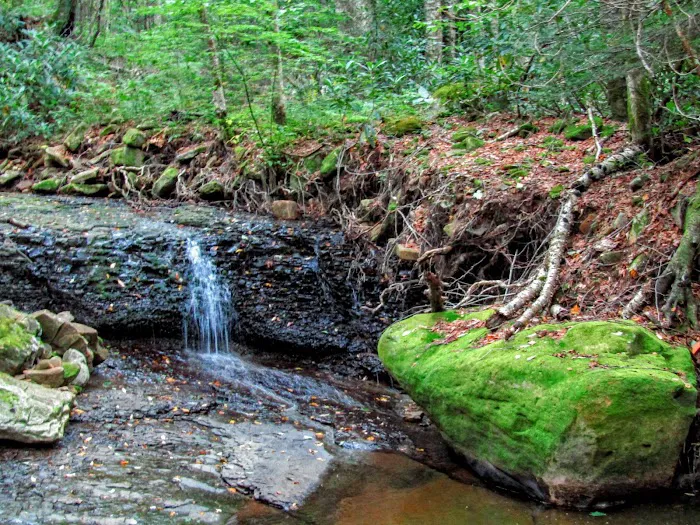 Tea Creek Campground Picture 6