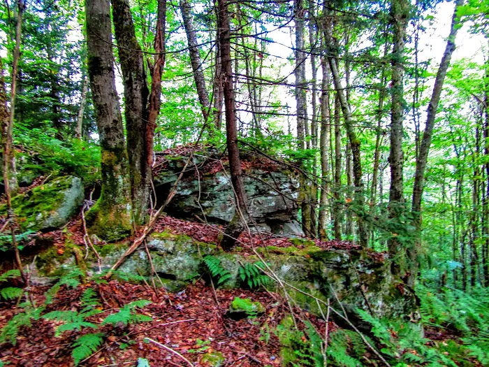 Tea Creek Campground Picture 3