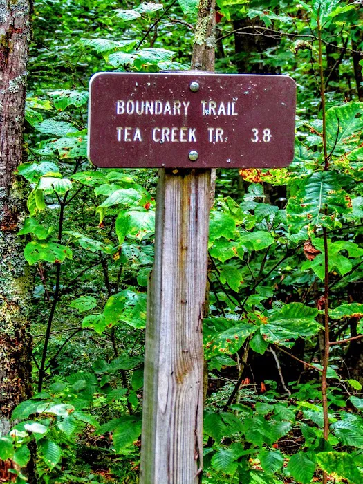 Tea Creek Campground Picture 5