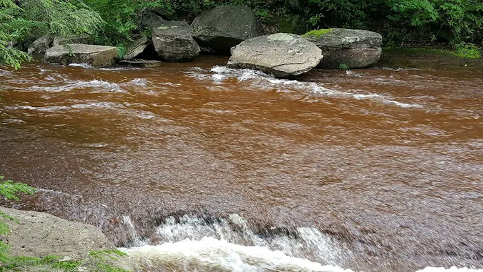 Tea Creek Campground Picture 10