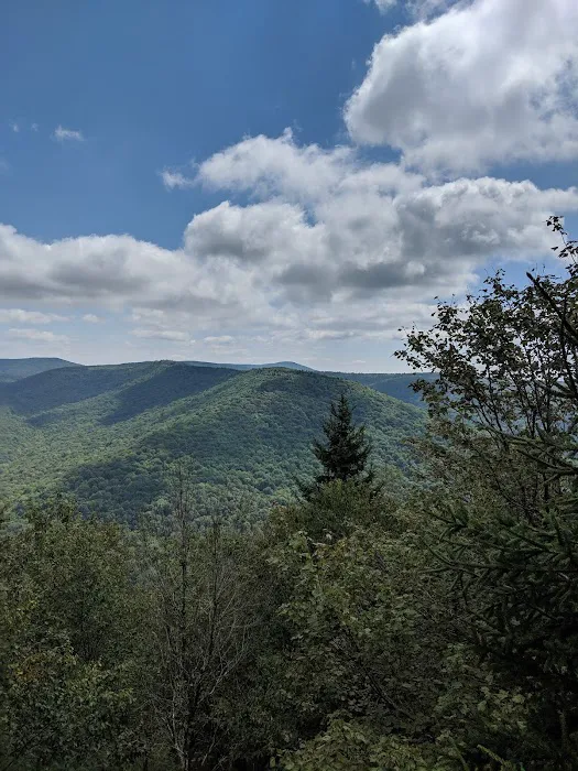 Tea Creek Campground Picture 7