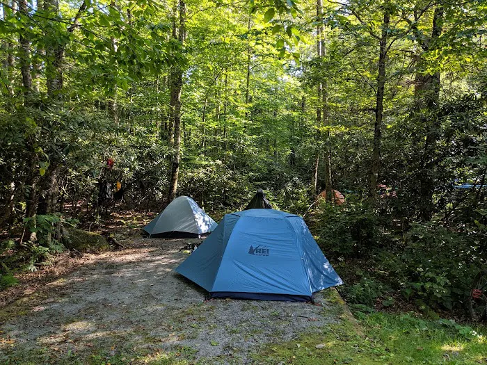Tea Creek Campground Picture 4