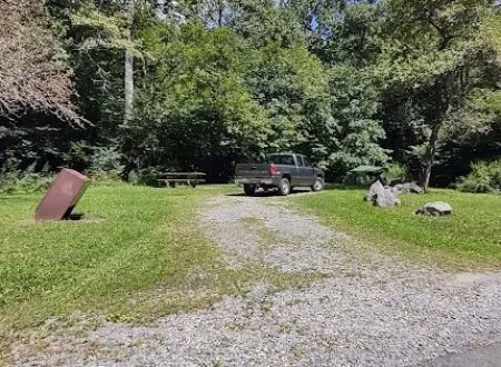 Williams River Campsite 19