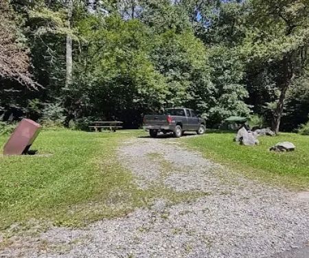 Williams River Campsite 19