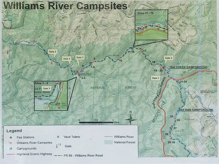 Williams River Campsite 19 Picture 2