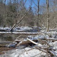 Day Run Campground ico