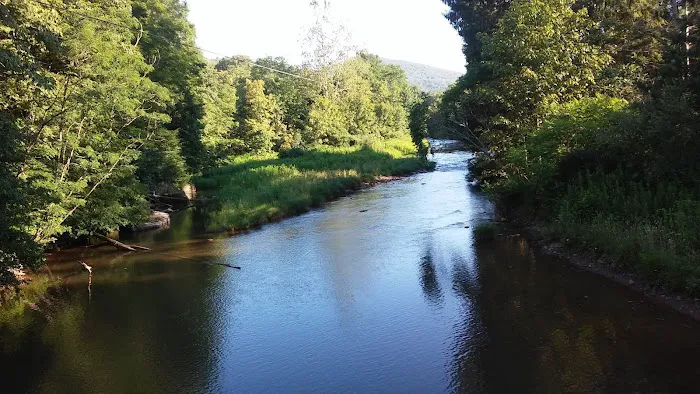 Day Run Campground Picture 4