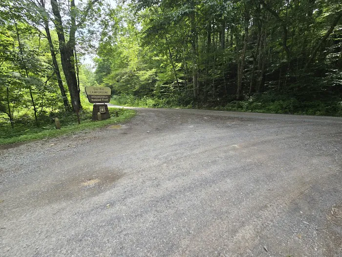 Day Run Campground Picture 9