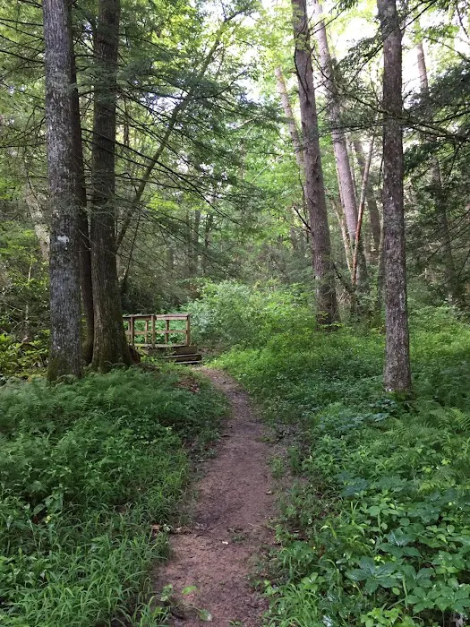Pocahontas Campground Picture 9