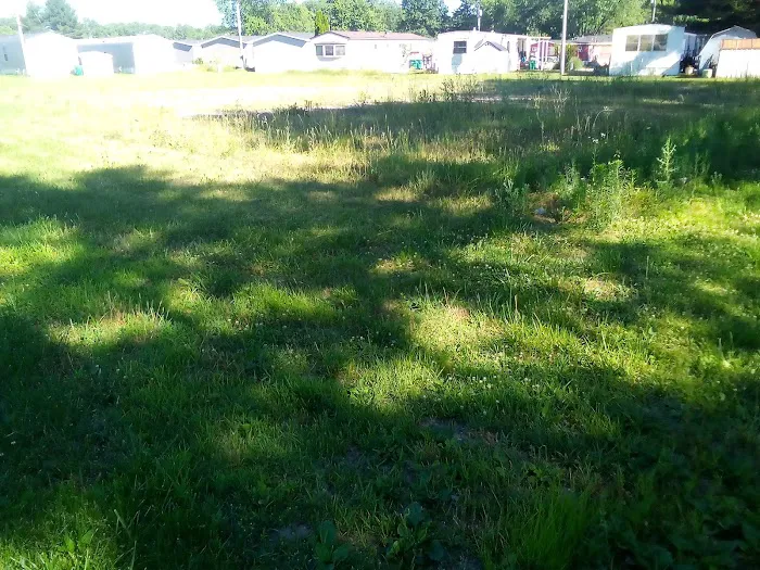 Ravinia Pines Picture 7