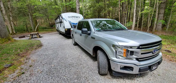 Beaver Creek Campground Picture 4