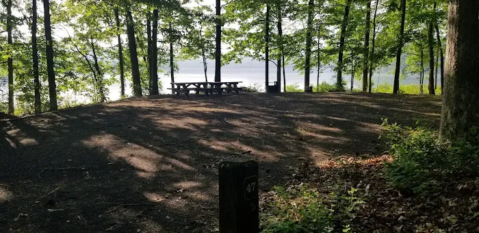 Bolar Mountain Campground #21 Picture 3