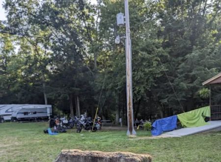 CAMP MORNING WOOD