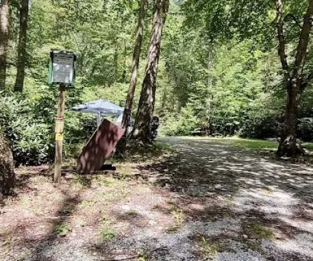 Williams River Campsite 16
