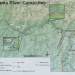 Williams River Campsite 14