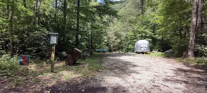 Williams River Campsite 13 Picture 2